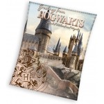 Pătură Harry Potter Hogwarts 130/160
