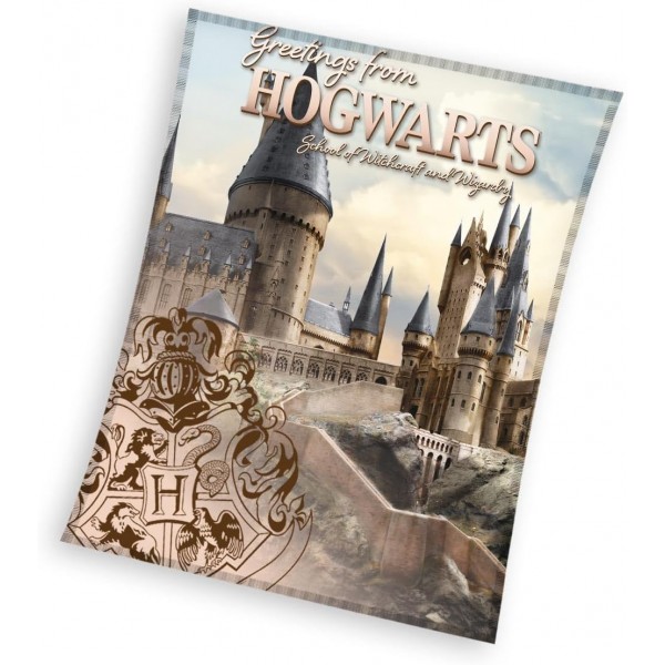 Pătură Harry Potter Hogwarts 130/160
